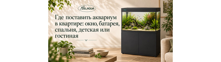 Где поставить аквариум в квартире: окно, батарея, спальня, детская или гостиная